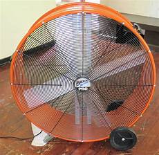 Fans
