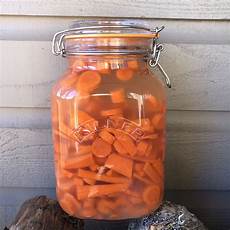 Fermented Carrot Juice Drinks
