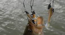 Fishing Rig