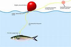 Fishing Rig