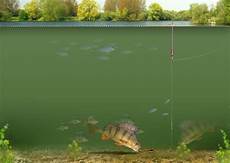 Fishing Rig