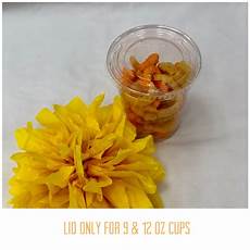 Food Pails