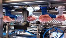 Food Processing Machines