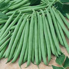 French Bean