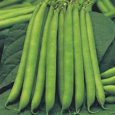 French Bean