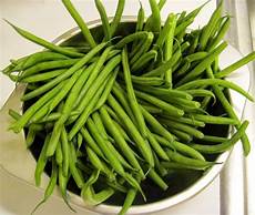 French Beans