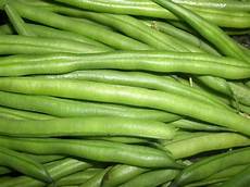 French Beans