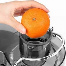 Fruit Juicers