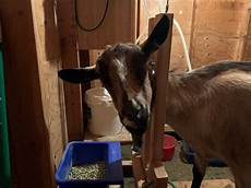 Goat Milking Equipments