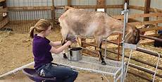Goat Milking Equipments