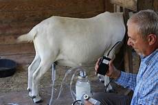 Goat Milking Equipments