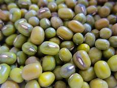 Green Gram
