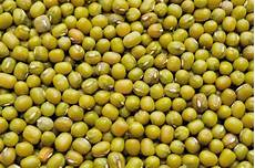 Green Grams