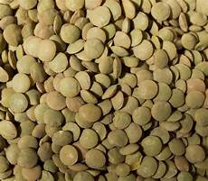 Green Lentils