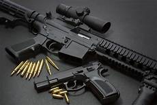 Gun