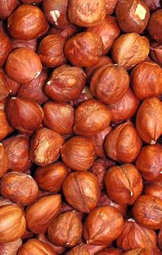 Hazelnut Without Shell