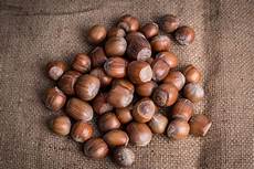 Hazelnut Without Shell