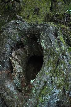 Hole U Profiles