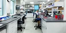 Hospital Laboratory