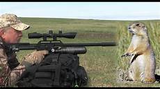Hunting Airguns