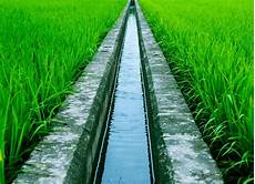 Irrigation Systems