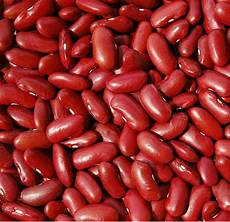 Kidney Bean