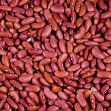 Kidney Bean