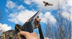 Land Hunting Material
