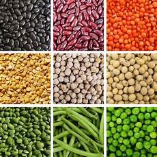 Legumes