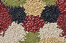 Legumes