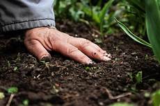 Liquid Chemical Fertilizer