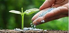 Liquid Chemical Fertilizers