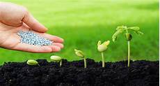 Liquid Chemical Fertilizers