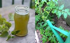 Liquid Fertilizer