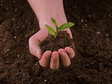 Liquid Fertilizers