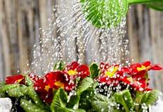 Liquid Organic Fertilizers