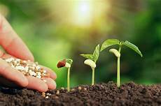 Liquid Organomineral Fertilizers