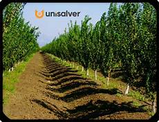 Liquid Organomineral Fertilizers