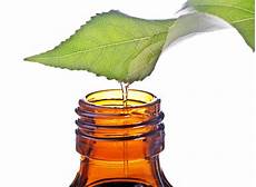 Liquid Plant Extracts