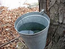 Liquid Sap