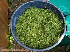 Liquid Worm Manure