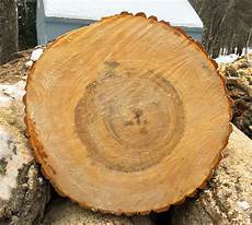 Log Cut