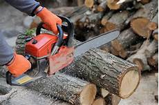 Log Cut