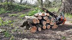Log Cutting Machines With Carrier