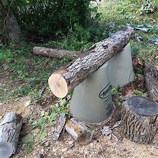 Log Cutting