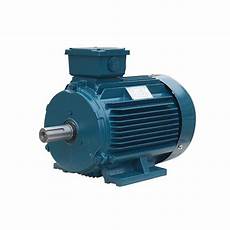 Low Voltage Motors