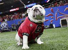 Mascot