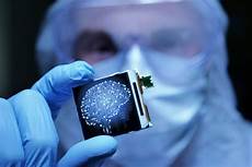 Medical Device