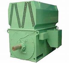 Medium Voltage Motors