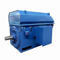 Medium Voltage Motors